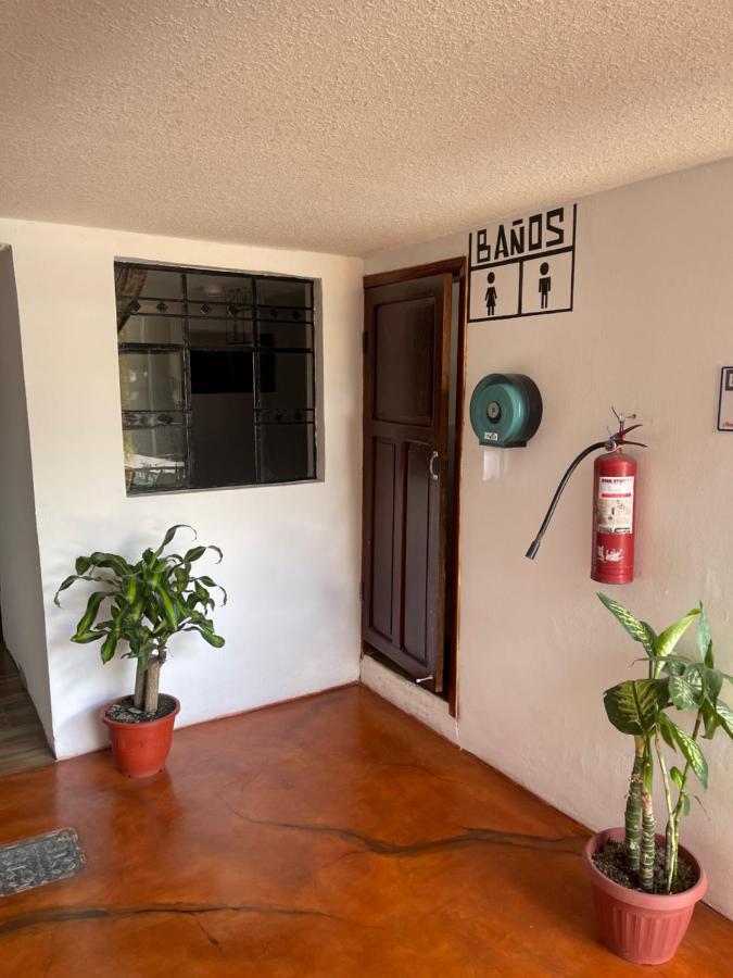 El Jardin Escondido Party Hostel Banos  Ngoại thất bức ảnh
